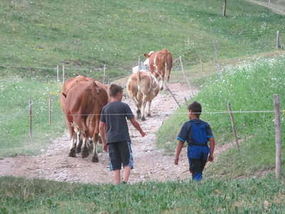 Bild 51 aus  Bio-Bergbauernhof Weger, vlg. Rübenstöffl