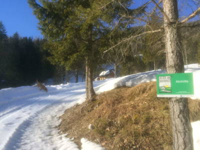 Bild 48 aus  Holzknechthütte