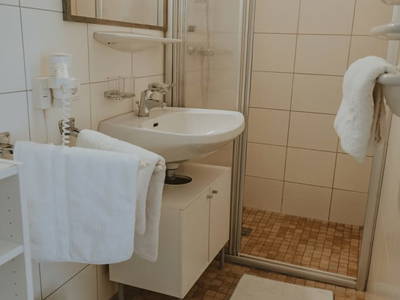 Bild 91 aus  Reitlehenalm