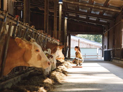 Bild 159 aus  Forstbauer