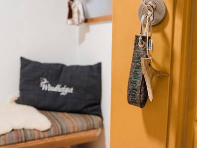 Bild 107 aus  Windhofgut