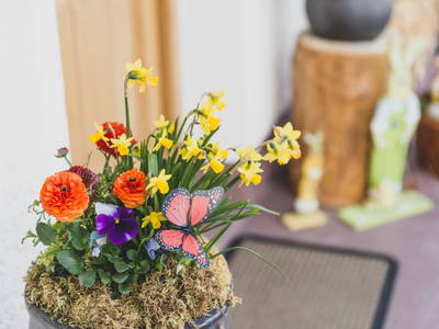 Bild 29 aus  Thomanhof