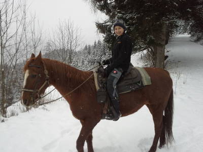 Bild 72 aus  Michlbauer