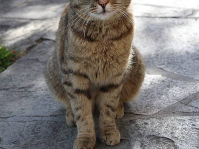 Bild 73 aus  Unteres Feld