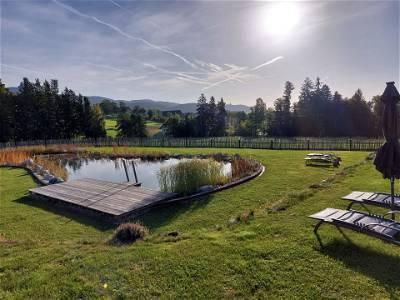 Bild 70 aus Pircherhof - Adults Only am Biobauernhof
