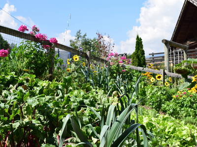 Bild 30 aus  Marschalkhof    Urlaub auf dem Bauernhof