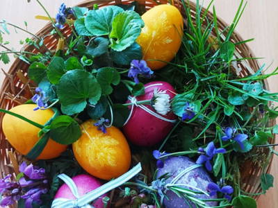 Bild 30 aus  Ferienhaus Weinmeyer 