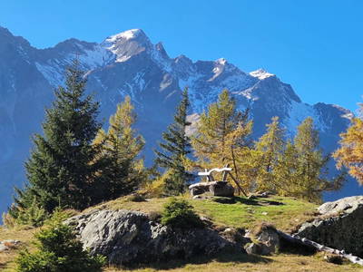 Bild 231 aus  Klampererhof-Gesundheitsbauernhof