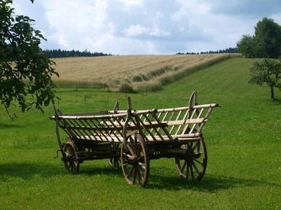 Bild 55 aus   Pammer - Jahn