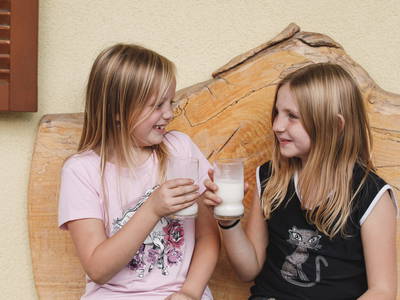 Bild 157 aus  Forstbauer