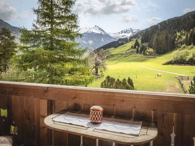 Bild 14 aus  Bauernhofidylle am - ZITTRAUERHOF - in Gastein