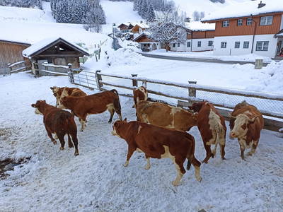 Bild 33 aus  Kaserer