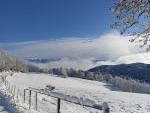 Bild 40 aus  Urlaub am Haberlehof