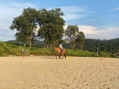 Bild 25 aus  Matlhof