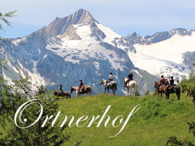 Bild 2 aus  Der Ortnerhof