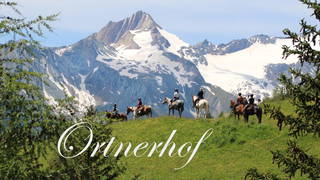 Der Ortnerhof aus Prägraten am Großvenediger