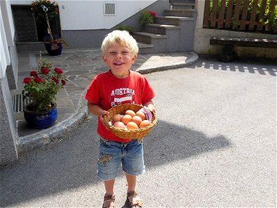 Bild 18 aus Bio-Urlaubshof Dansbach