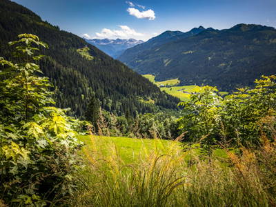 Bild 31 aus  Premhof