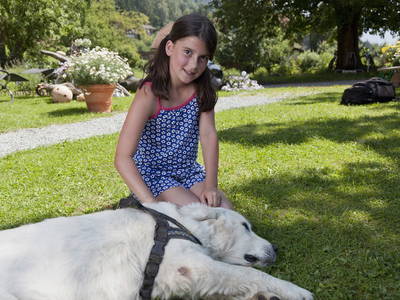 Bild 34 aus  Burgstallerhof