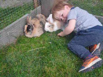 Bild 126 aus  Anderlbauer