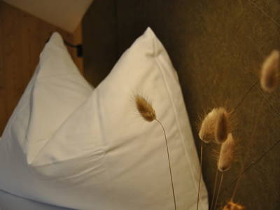 Bild 202 aus  Reitbauernhof