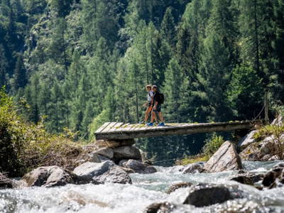 Bild 129 aus  Enzianhütte im Habachtal