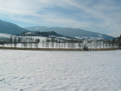 Bild 81 aus  Pension Glitschnerhof