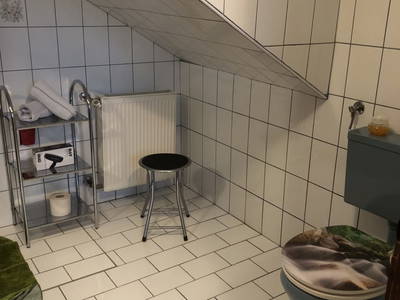 Bild 67 aus  Wengerbauer