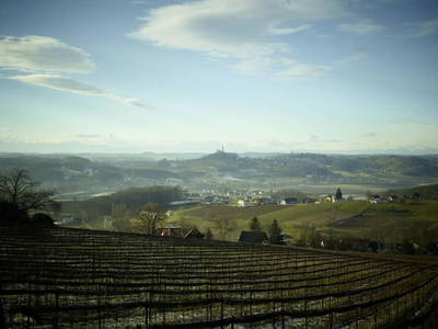 Bild 47 aus  Weingut Krispel