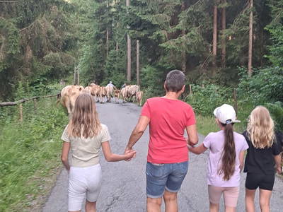 Bild 57 aus  Rotlechner