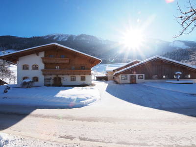 Bild 46 aus  Taxengut