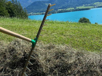 Bild 22 aus Reiterhof Suassbauer