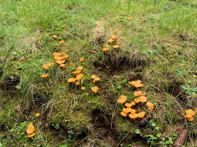 Bild 73 aus  Grossa Hütten