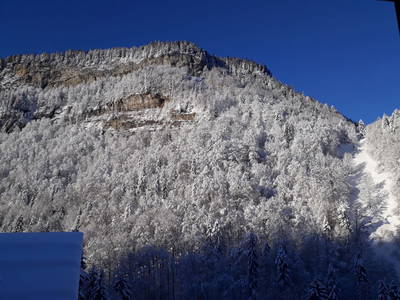 Bild 21 aus  Bauernhof Farnach