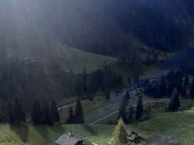 Bild 15 aus Schuster Alm