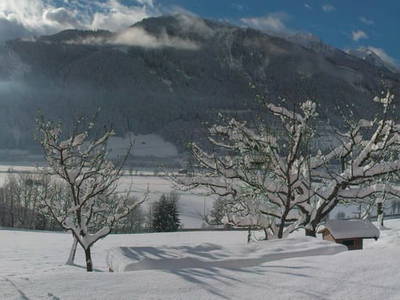 Bild 41 aus  Peilberghof