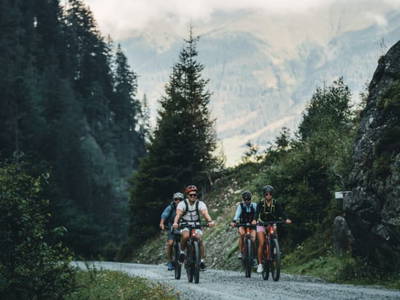 Bild 104 aus  Enzianhütte im Habachtal
