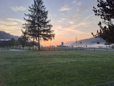 Bild 30 aus Vierthalerhof