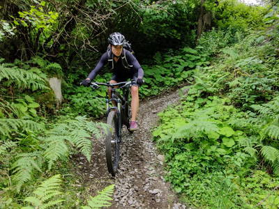 Bild 61 aus  Familienhotel-Gasthof Hinteregger