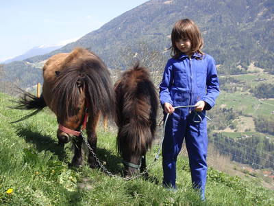 Bild 40 aus  Marteshof