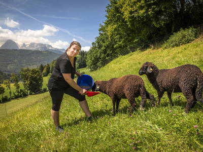 Bild 99 aus  Mittergasteg