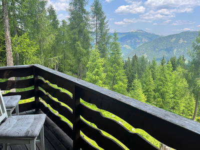 Bild 134 aus Neuwirth Hütte