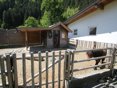 Bild 20 aus  Fehlehof