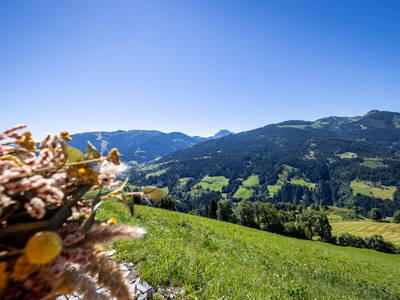 Bild 79 aus  Durchholzalm | Das Chalet am Floitensberg