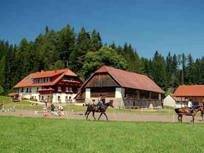 Bild 7 aus  Steinerhof