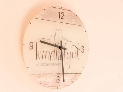 Bild 133 aus  Windhofgut