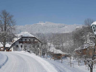 Bild 77 aus  Ferienhof Pfaffenlehen