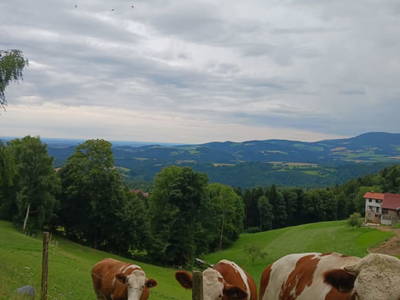 Bild 25 aus  Ferienhaus Klampfl