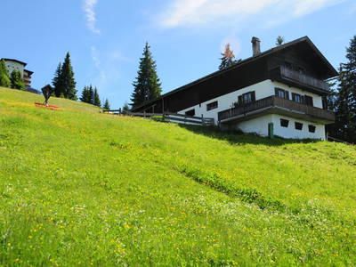 Bild 62 aus  Hartlhof Urlaub am Baby- und Kinderbauernhof