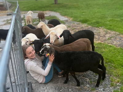 Bild 10 aus  S'Landhäuschen